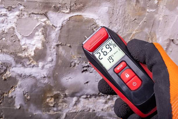 Best HVAC Mold Remediation in Goodview, MN